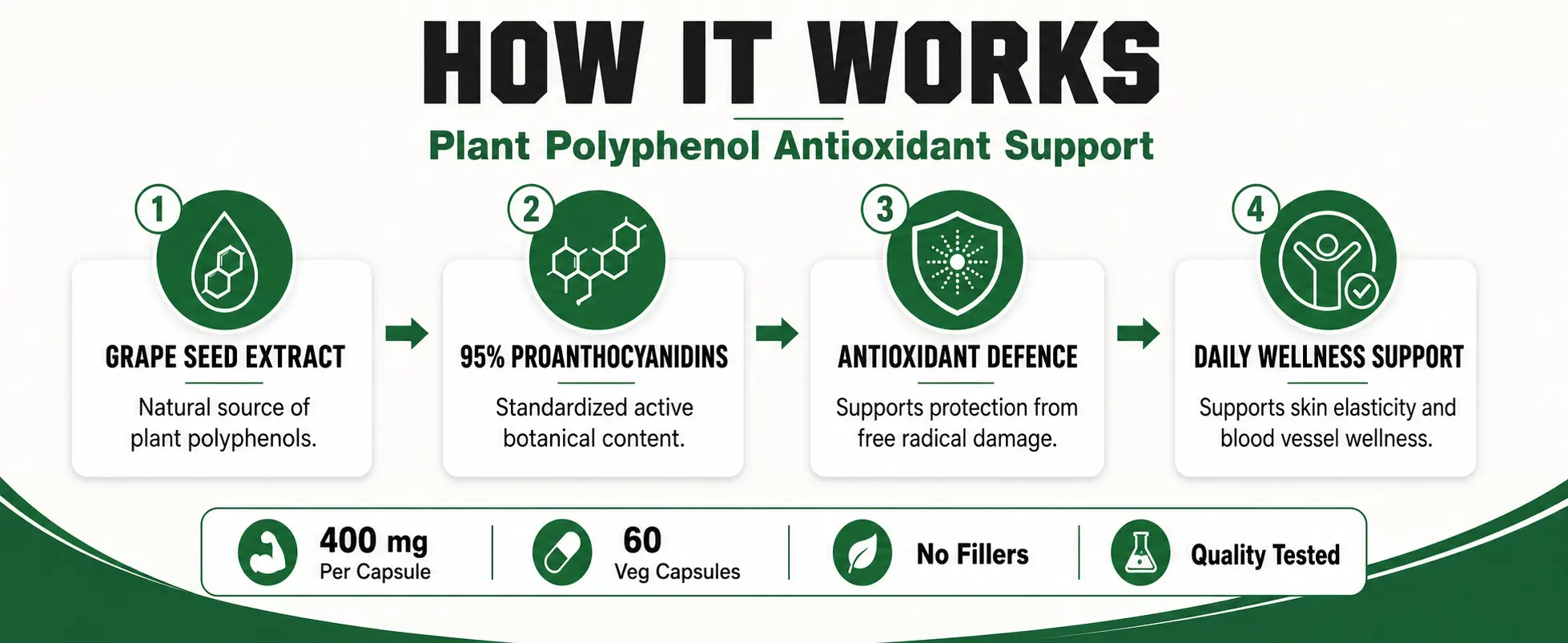grape_seed_extract_HOW IT WORKS.